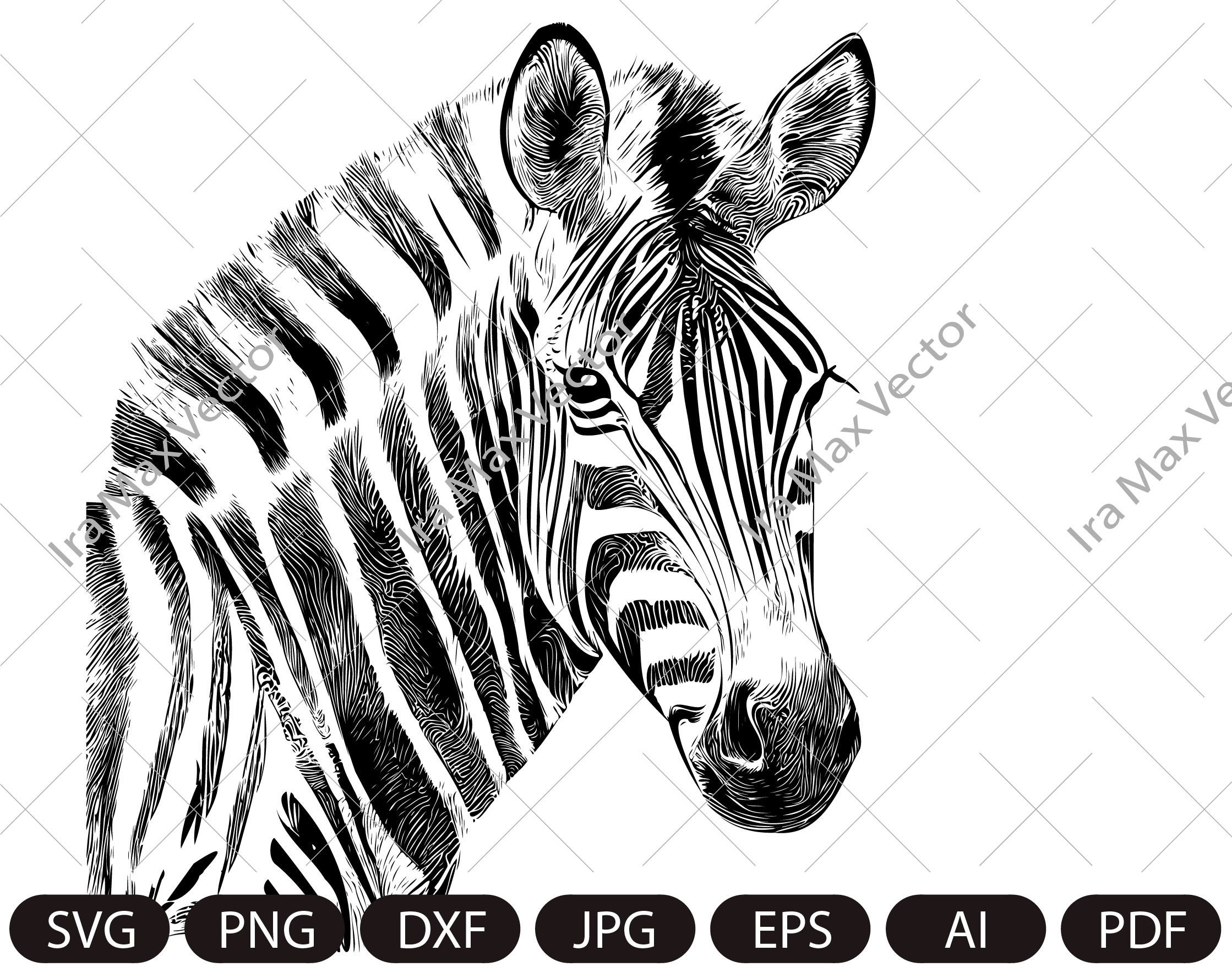 Cara de cebra - Etsy México, image size:2238x1765