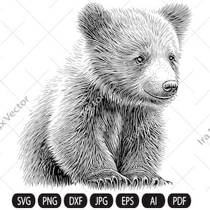 Baby bear svg,Bear cub face svg,Little bear,Grizzly Bear,Bear detailed, Safari African Animals,Bear Cub,Nursery Wall Art, Kids Printable