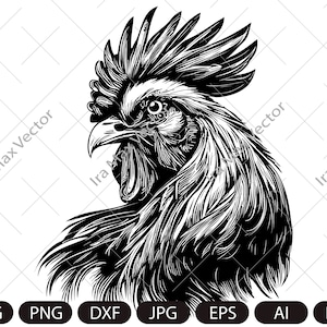 Svg coq, visage de coq, svg tête de coq, clipart coq, coq png, svg animaux de la ferme, coq détaillé, svg tête de coq