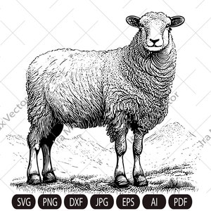 Oveja linda SVG, Oveja parada en el pasto, Clipart de ovejas, Oveja detallada, Oveja imprimible, Animales de granja