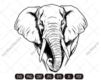 Elefante Svg, Elefante Clipart, Elefante Png, Testa di elefante, Dettagli di elefante, Silhouette di elefante, Silhouette di animali