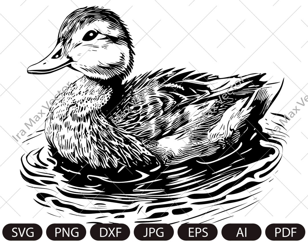Утка Svg, Утка Клипарт, Утка Png, Голова Утки, Утка плавающая Svg ...