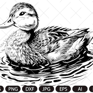 Утка Svg, Утка Клипарт, Утка Png, Голова утки, Утка плавает Svg, Силуэт утки, Силуэт птицы