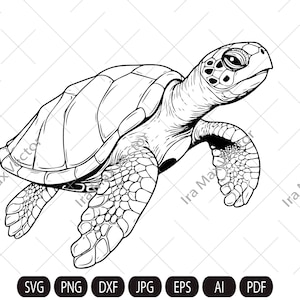 Turtle Svg, Turtle Clipart, Turtle Png, Turtle Head, Turtle vector , Turtle Silhouette, Animals Silhouette, reptile svg, Sea turtle