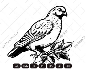 Paloma paloma SVG, Paloma de pie SVG, Paloma en la rama, Pájaro SVG - Clipart, Silueta, Láser, Cortador de vinilo, Calcomanía, Archivo de camiseta.