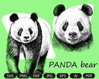 Plik Panda SVG DXF PNG Plik do cięcia dla maszyn Cricut i Cut do użytku komercyjnego i osobistego Naklejka winylowa sylwetka wektorowa