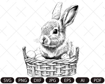 Conejito en cesta Svg, Pascua Svg, Cumpleaños de niñas Svg, Cara de conejito Svg Dxf Eps Png, Baby Shower Clipart, Primavera Svg, Silueta