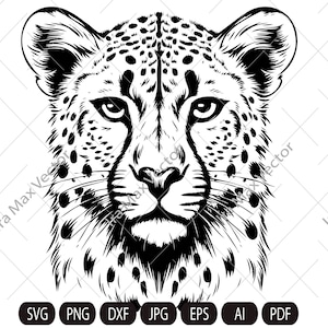 Cheetah Svg, Cheetah Clipart, Cheetah Png, Cheetah Head, Cheetah Cut Files  , Cheetah Silhouette, Animals Silhouette