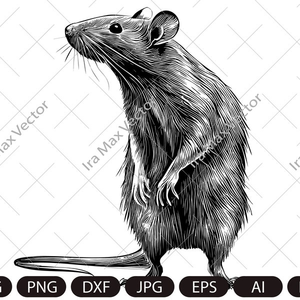 Rat Svg, Rat Clipart, Rat Png, Rat Head, Rat Cut Files, Rat sublimation , Rat Silhouette, Animals Silhouette