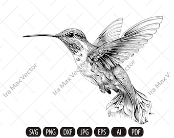 Hummingbird Svg, Hummingbird Clipart, Hummingbird Png, Hummingbird Flying, Hummingbird Cut Files, Bird Silhouette, Little Bird, Flower Bird