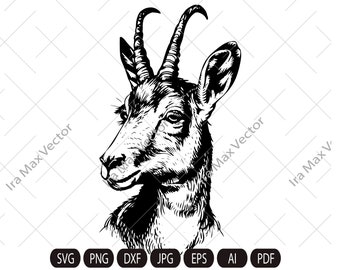 Vector New Zealand CHAMOIS, deer head, goat head,chamois face,chamois head,chamois printable