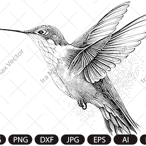 Colibrí Svg, Colibrí Clipart, Colibrí PNG, Cabeza de colibrí, Archivos de corte de colibrí, Silueta de pájaro, pajarito, pájaro flor