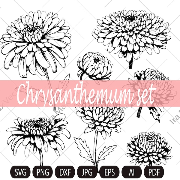 Chrysanthemum Clipart/Line Chrysanthemum Clipart/Autumn Flower/Flower Line Art/Floral Clipart/Hand Drawn Flower Clipart/Line Flower/Garden