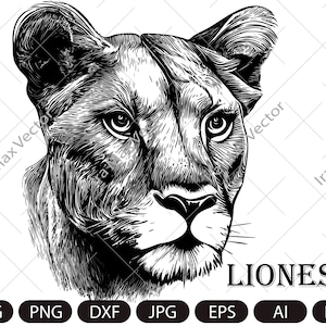 Lioness Svg, Lioness Head SVG, Lion Face Svg, Wild Cat Svg, Lion Silhouette, Lioness Portrait Svg, Wild Lioness Svg, Lion Clipart