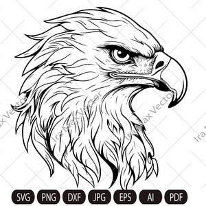 Op de afbeelding: Een zwart-witte lijntekening van een adelaarskop met zijn bek open en zijn oog rechtstreeks naar de kijker gericht.