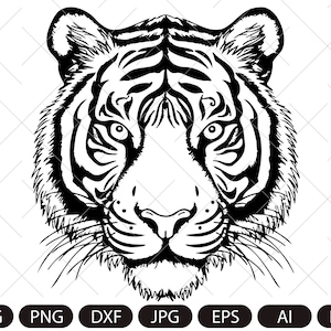 Tiger Head SVG , Tiger face svg, Wild Animal Face, Zoo Clipart, mascot logo Vector, DIGITAL  Download , t shirt stencil, printable