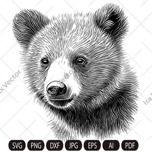 赤ちゃんクマのSVG、子クマの顔のSVG、小さなクマ、ハイイログマ、クマの詳細、サファリのアフリカの動物、子クマ、保育園の壁アート、子供向けの印刷物