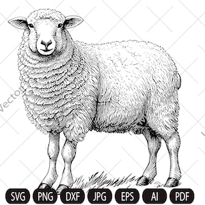 Cute sheep SVG, Sheep standing, Sheep Clipart, Sheep detailed, Sheep printable, Farm animals