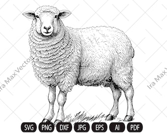 かわいい羊の SVG、立っている羊、羊のクリップアート、羊の詳細、羊の印刷物、農場の動物