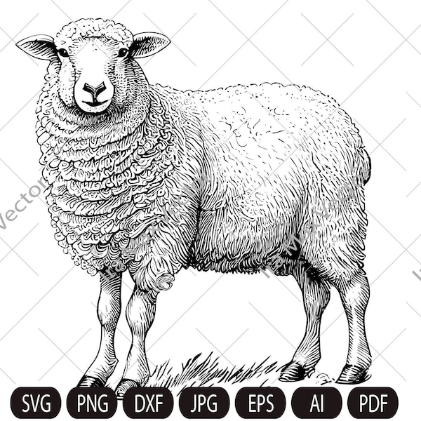 Cute sheep SVG, Sheep standing, Sheep Clipart, Sheep detailed, Sheep printable, Farm animals