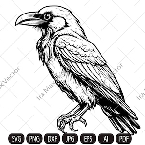 May include: Black and white line art illustration of a raven with its wings spread out. The raven is facing to the left and has a detailed, realistic design.
