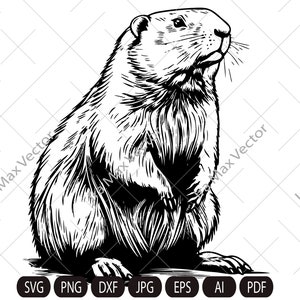 Happy Beaver Svg, Cute Beaver svg, Beaver svg, Smiling Beaver svg, Beaver Shirt, Beaver Clipart, Cut Files, Beaver face svg, Beaver head svg