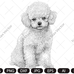 Poodle svg, poodle print for shirt, poodle dxf png, french poodle clipart, face portrait svg, dog svg files, poodle face svg
