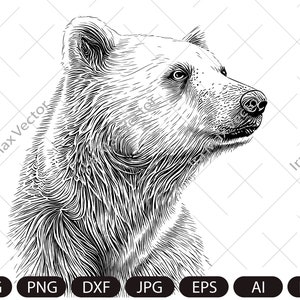 Polar Bear SVG, Polar bear head svg, Polar bear face svg, Polar bear clipart svg, Polar bear detailed