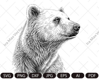 Polar Bear SVG, Polar bear head svg, Polar bear face svg, Polar bear clipart svg, Polar bear detailed
