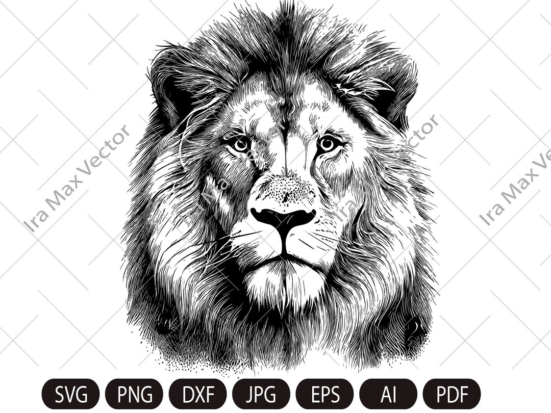 Lion Head Svg / Lion Face Svg / Lion Svg / Lion King Svg Lions Mascot