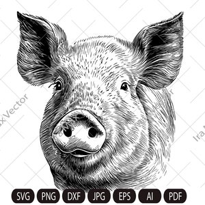 Pig Svg,Pig face, Pig head svg, Piglet Head, Pig Silhouette, Pig detailed portrait, Farm Animals Silhouette