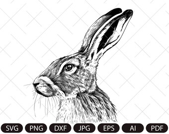 HARE svg ,Bunny  clipart PNG, Easter hare  PNG, bunny Sublimation, Rabbit Clipart, spring Png, Bunny Png, spring bunny,Easter bunny
