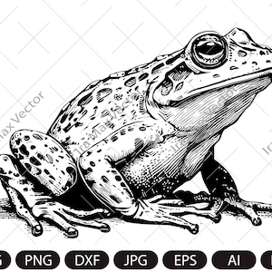 May include: Black and white line art illustration of a frog sitting on a rock. The frog has a spotted pattern and large eyes.