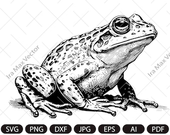 Kikker Svg/kikker Clipart/kikker Png/kikker hoofd/kikker Details/kikker silhouet/dier