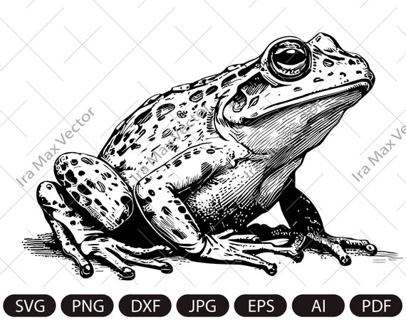 Frog Svg/Frog Clipart/Frog Png/Frog Head/Frog Details/Frog Silhouette/Animal