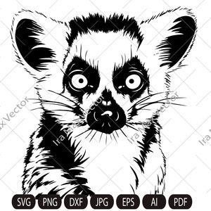 Lemur SVG, Lemur Clipart, Hand Drawn Lemur Vector Illustration, Lemur Engraving,Lemur head svg,Lemur face