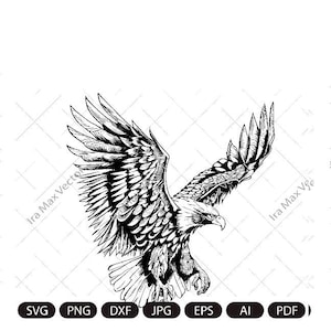 ワシ SVG、ワシの攻撃 SVG、ワシ USA SVG、アメリカン ワシ SVG、ワシの詳細、ワシ シャツ、ワシの飛行