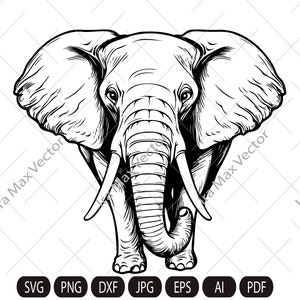 Elephant Svg, Elephant Clipart, Elephant Png, Elephant Head, Elephant detailed , Elephant Silhouette, Animals Silhouette