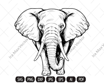 Elefante Svg, Elefante Clipart, Elefante Png, Testa di elefante, Elefante dettagliato, Silhouette di elefante, Silhouette di animali