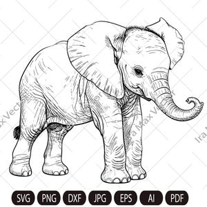 May include: A detailed black and white illustration of a baby elephant. The elephant is depicted in a standing position, with its trunk curled and ears spread. The image includes file format icons: SVG, PNG, DXF, JPG, EPS, AI, and PDF.