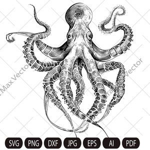 Op de afbeelding: Een zwart-witte lijntekening van een octopus met acht tentakels. De octopus kijkt naar voren met zijn tentakels gespreid.