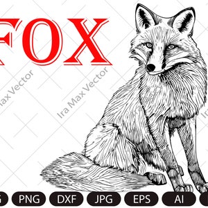 Fox Svg, Fox Clipart, Fox Png, Fox Head, Fox Cut Files For Cricut , Fox Silhouette, Baby Animals