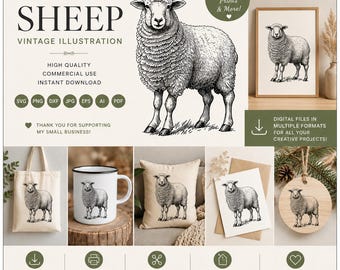 Schattige schapen SVG, schapen staan, schapen clipart, schapen gedetailleerd, schapen afdrukbaar, boerderijdieren