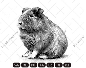 Conejillo de indias SVG, conejillo de indias detallado, archivo de corte de conejillo de indias, clipart de conejillo de indias, póster de conejillo de indias, SVG de mascota, vector de animales domésticos