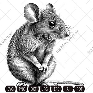 Mouse Svg, little Mouse Clipart, Mouse baby, Mouse Head, Mouse Cut Files , Mouse Silhouette, Animals Silhouette,little rat svg