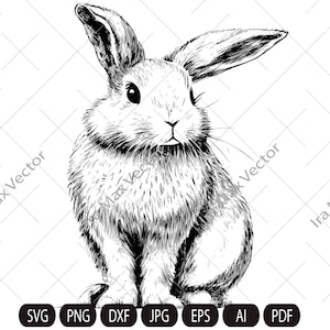 Rabbit SVG, Bunny monogram, easter , hunter svg, files for cricut, peeking animal clipart, face Vector image, Christmas rabbit