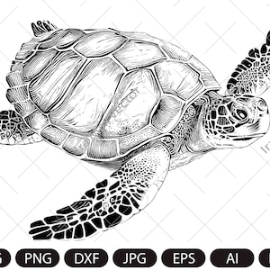 May include: A detailed black and white illustration of a sea turtle. The turtle is shown swimming, with its flippers extended. The shell has a hexagonal pattern. The image includes file type icons: SVG, PNG, DXF, JPG, EPS, AI, and PDF.