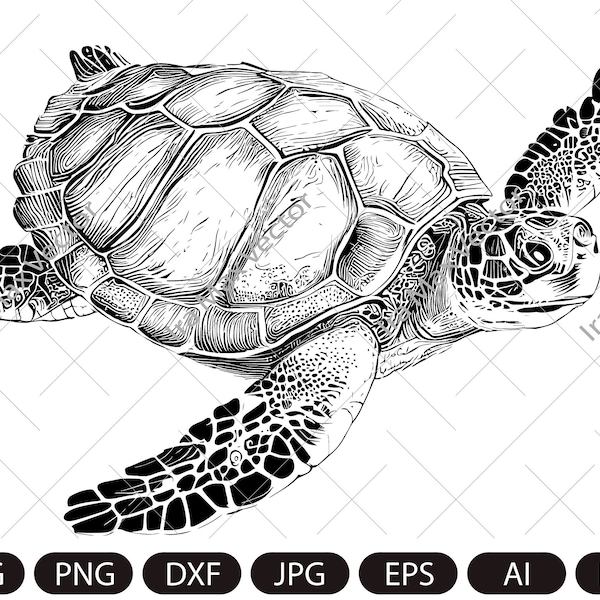 Turtle Svg, Turtle Clipart, Turtle Png, Turtle Head, Turtle vector , Turtle Silhouette, Animals Silhouette, reptile svg, Sea turtle