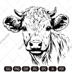 May include: A black and white line drawing of a cow's head. The cow has a white face with black markings and large, dark eyes.