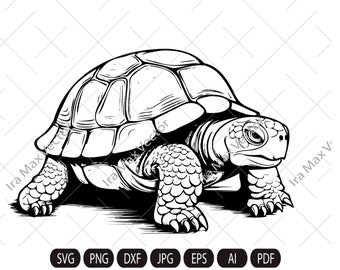 Tortoise SVG, Tortoise Clipart, Hand Drawn Tortoise Vector Illustration,Turtle svg,Turtle Head, Turtle vector, Turtle Silhouette,reptile svg